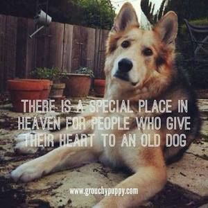 Meet your Posher, Patty